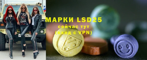 PSILOCYBIN Аркадак