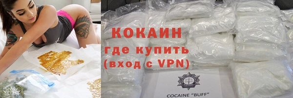 PSILOCYBIN Аркадак