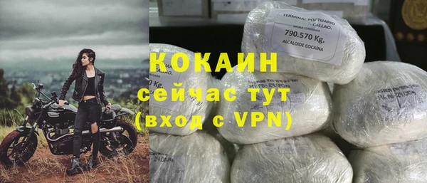 PSILOCYBIN Аркадак