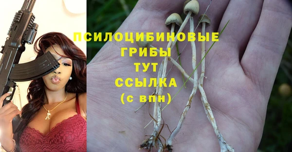 ешки Арсеньев