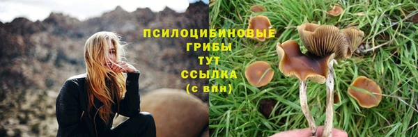 ешки Арсеньев