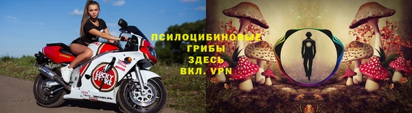 PSILOCYBIN Аркадак