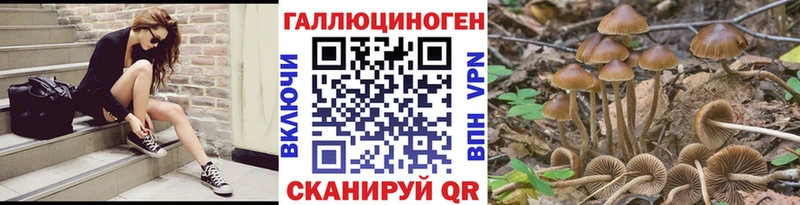 Галлюциногенные грибы Psilocybine cubensis хочу Сасово